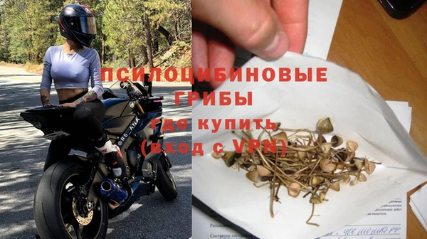 прущие крисы Осташков