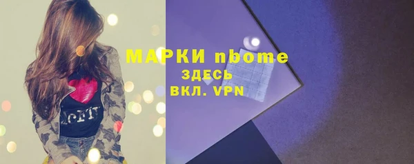 индика Армянск