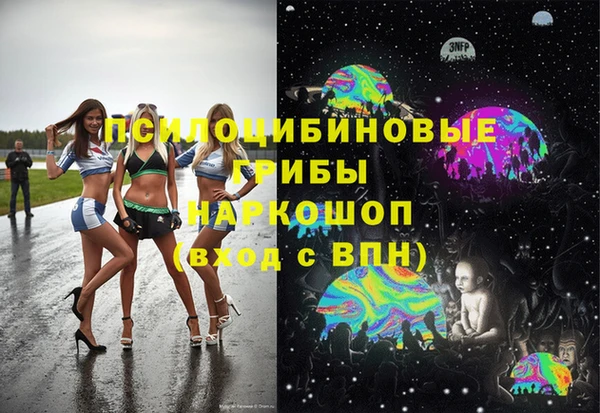 индика Армянск
