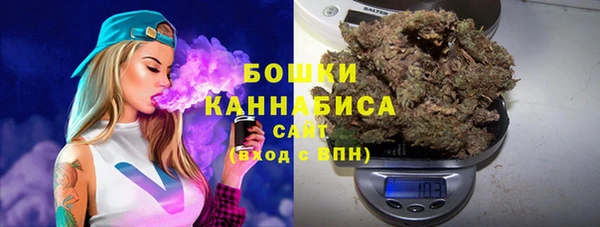 индика Армянск